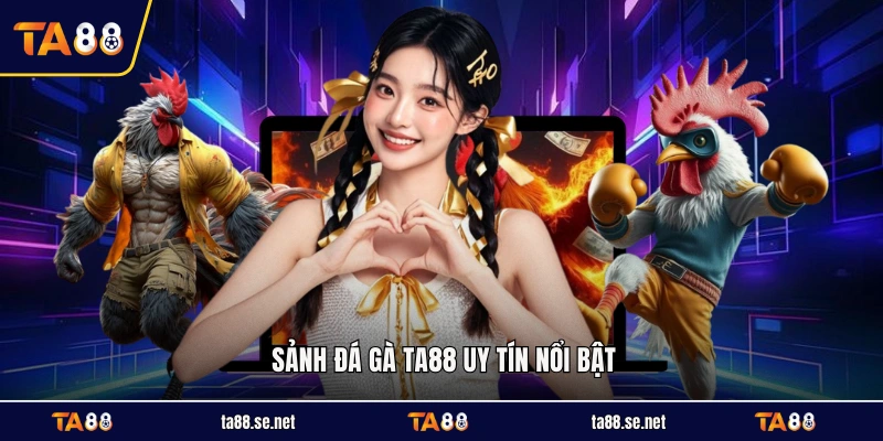 Sảnh đá gà TA88 uy tín nổi bật