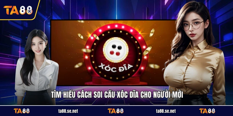 Tìm hiểu cách soi cầu xóc dĩa cho người mới